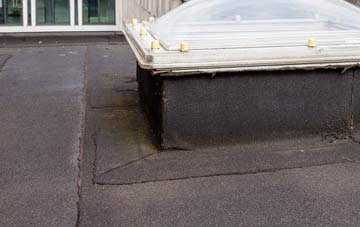 disadvantages of Dail Bho Dheas flat roofs