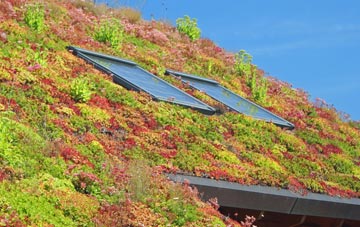 Dail Bho Dheas living roof systems