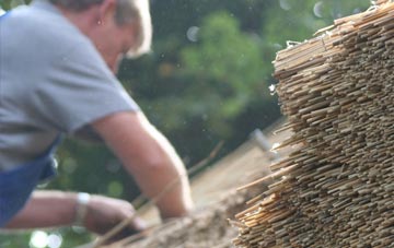 professional Dail Bho Dheas thatchers