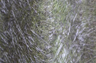 Dail Bho Dheas fibreglass roof work